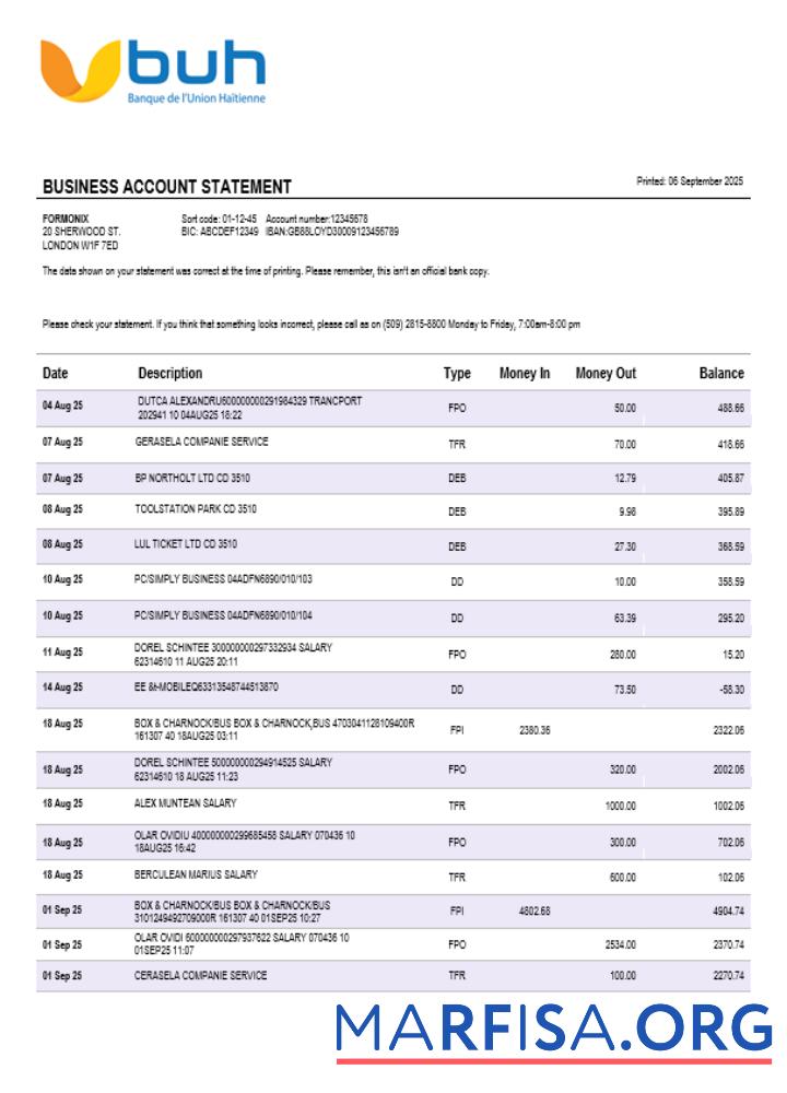 Realistic Haiti BUH business firm statement Word and PDF format real example